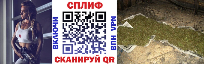 APVP Бологое
