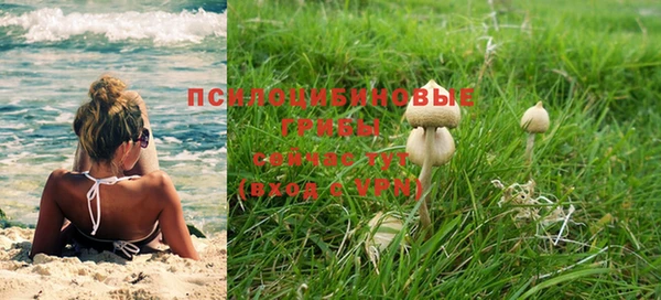 мет Лагань