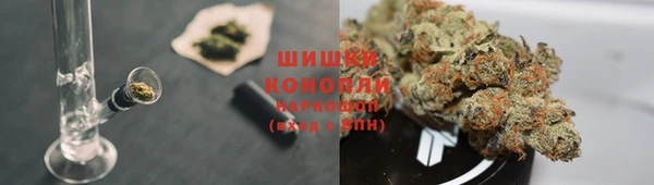дживик Лабытнанги