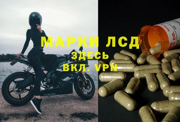 мет Лагань