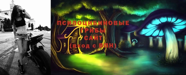 дживик Лабытнанги