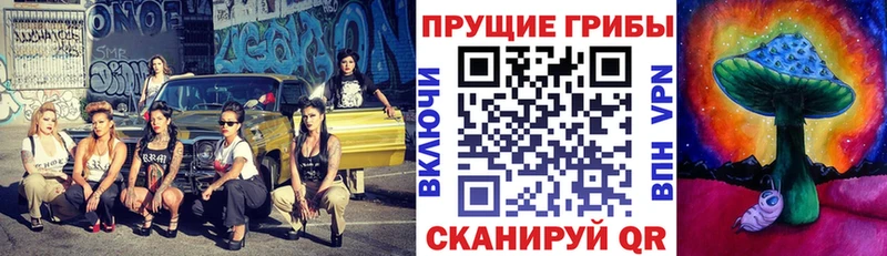 Купить  Бологое  Псилоцибиновые грибы ЛСД 